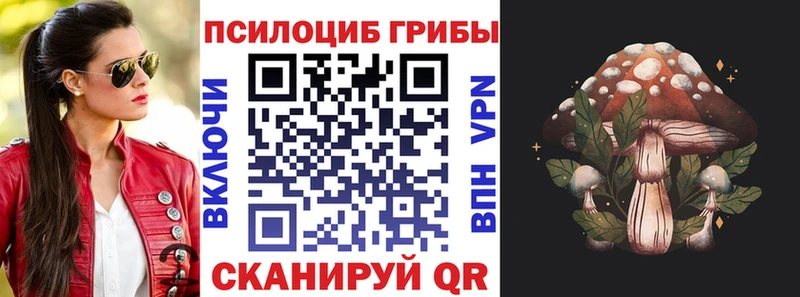 Галлюциногенные грибы GOLDEN TEACHER  Полесск 
