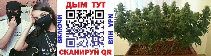 дарк нет наркотические препараты Полесск Каннабис SATIVA & INDICA